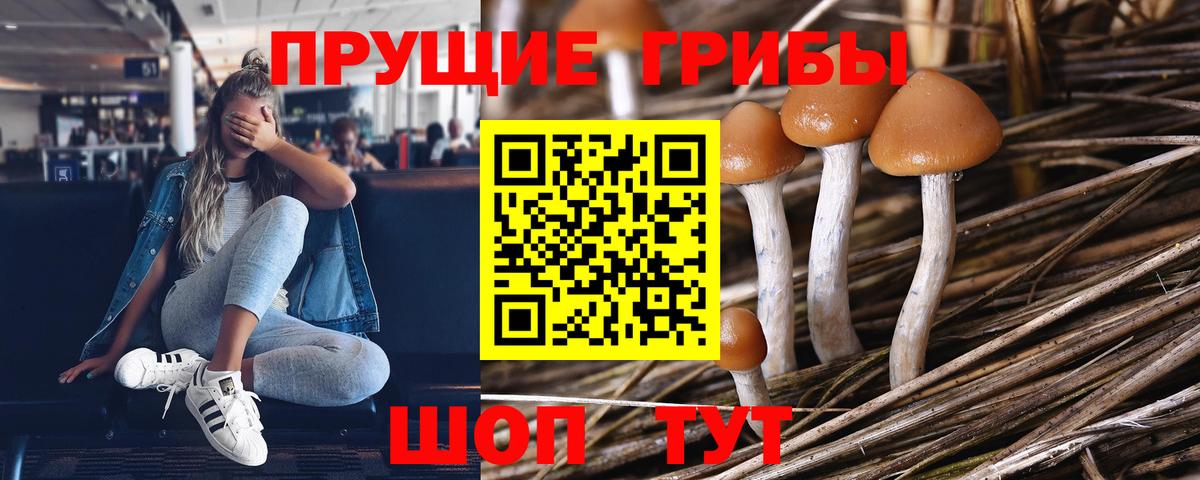 Псилоцибиновые грибы Magic Shrooms  Вход с VPN  Галлюциногенные грибы MAGIC MUSHROOMS  где можно купить   Советск 